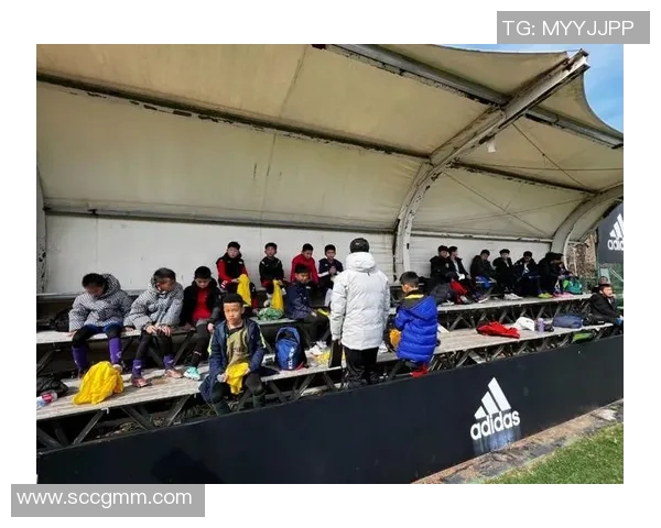 崇明岛足球基地助力青少年成长与足球文化传播新篇章 崇明岛足球基地助力青少年成长与足球文化传播新篇章