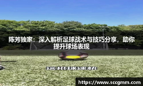 陈芳独家：深入解析足球战术与技巧分享，助你提升球场表现