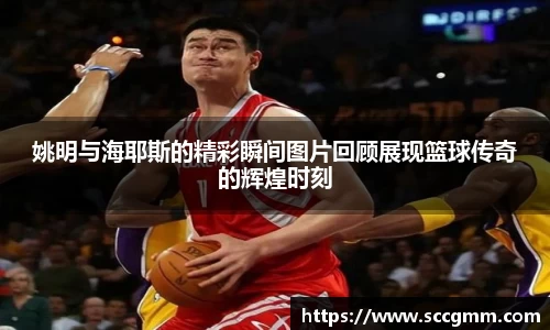 姚明与海耶斯的精彩瞬间图片回顾展现篮球传奇的辉煌时刻